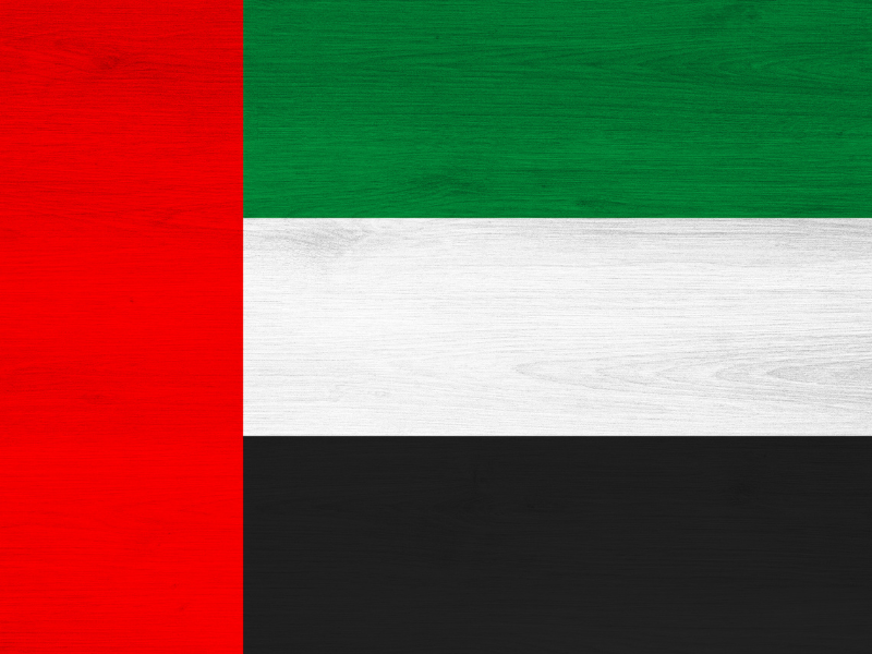 BANDIERA EMIRATI ARABI UNITI